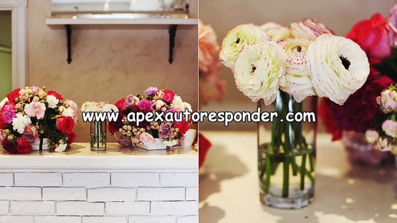 Email Automatic Responders. Automating Your Business