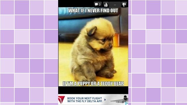 eBay Express Offers Exciting New Selling Options