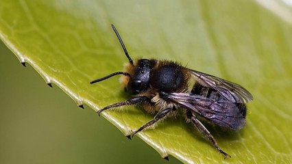 Building A Link Exchange Directory