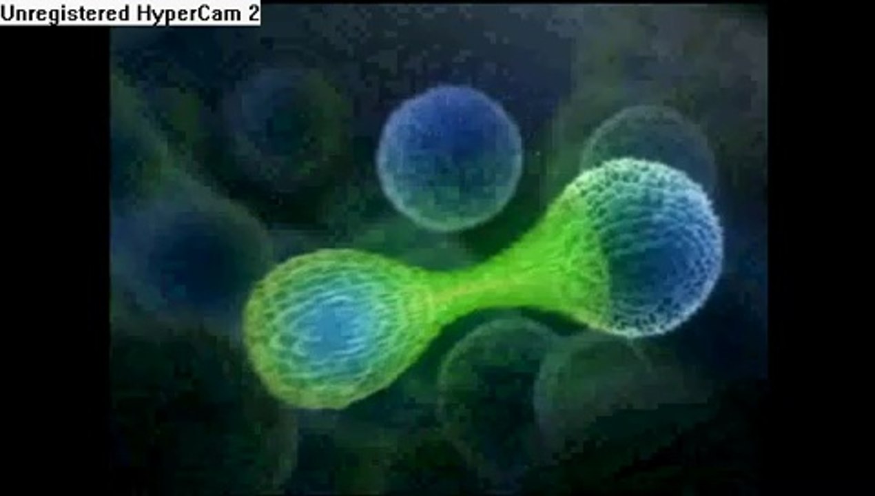 PlayerUp.com - Buy Sell Accounts - Fusion Fall Trailer 2