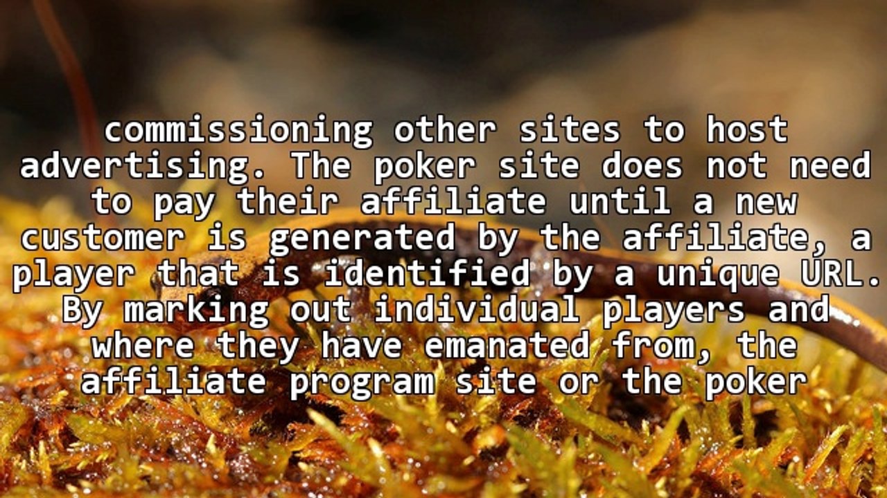The Unique Marketing Force Driving Online Poker Room Growth