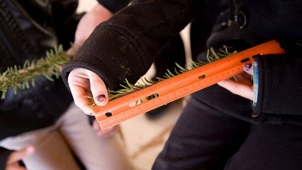 Writing Articles - Advice For The Do-It-Yourself Webmaster