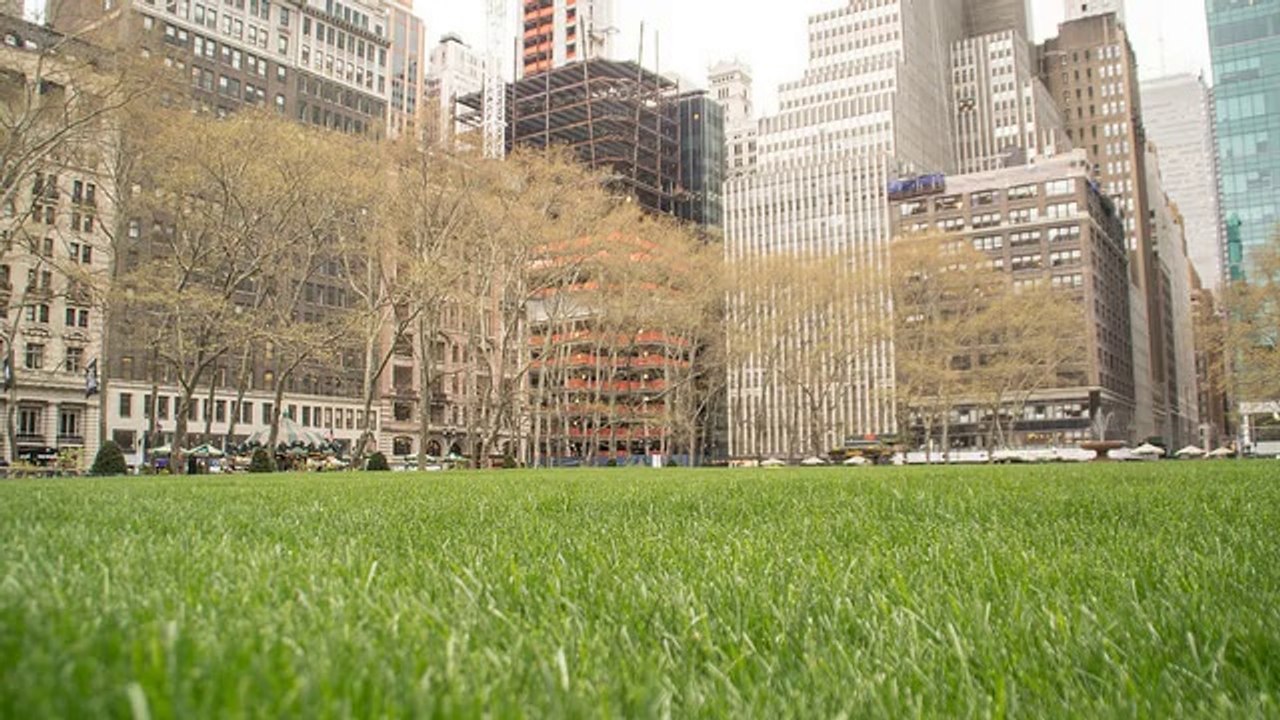 Using Search Engines To Find Deals And Promotions