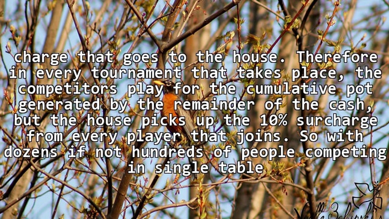 Online Poker Affiliates: Generating Massive Affiliate Commissions From Home