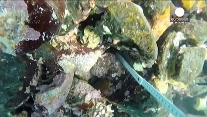 Marine investigators find 500-year-old Columbus ship wreck off coast of Haiti