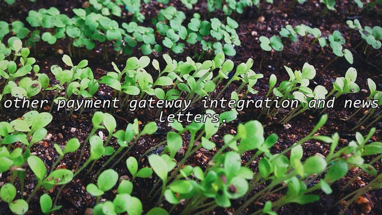 Ecommerce With Quality Budget Hosting and Free Software Solutions