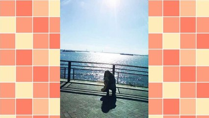 Writing Articles - Advice For The Do-It-Yourself Webmaster