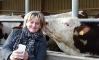 Nadine Morano fait un selfie avec une vache - ZAPPING ACTU DU 14/05/2014