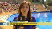 TV3 - Els Matins - Marineland incorpora un lleó marí per a la nova temporada