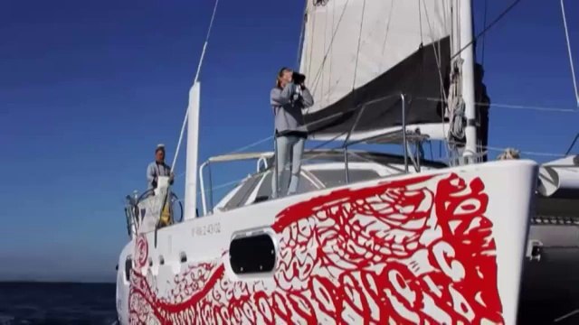 TV3 - Telenotícies comarques - Balenes davant de la costa del Garraf