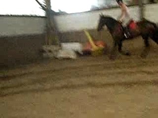 Pepito avec gaelle009