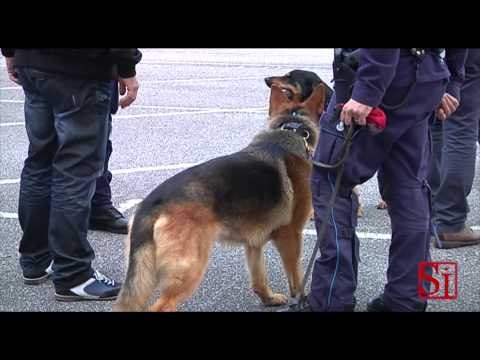 Napoli - Allarme bomba al Tribunale (13.05.14)