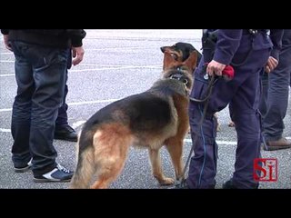 Napoli - Allarme bomba al Tribunale (13.05.14)