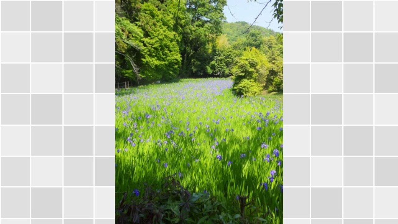 Design vs. SEO: Can My Site Look Good And Rank Well?