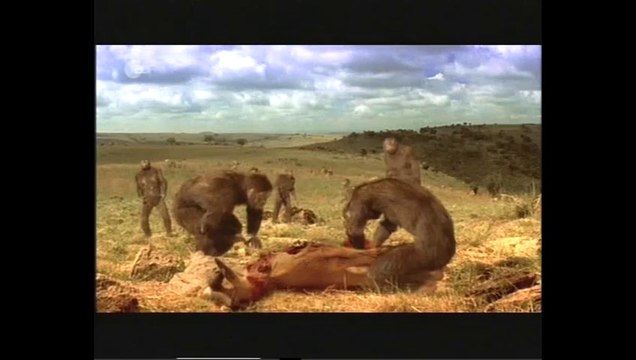 Geheimnis Mensch - 1v2 - Die Kinder des Feuers - 2005