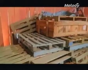 Francois Feldman - Joy