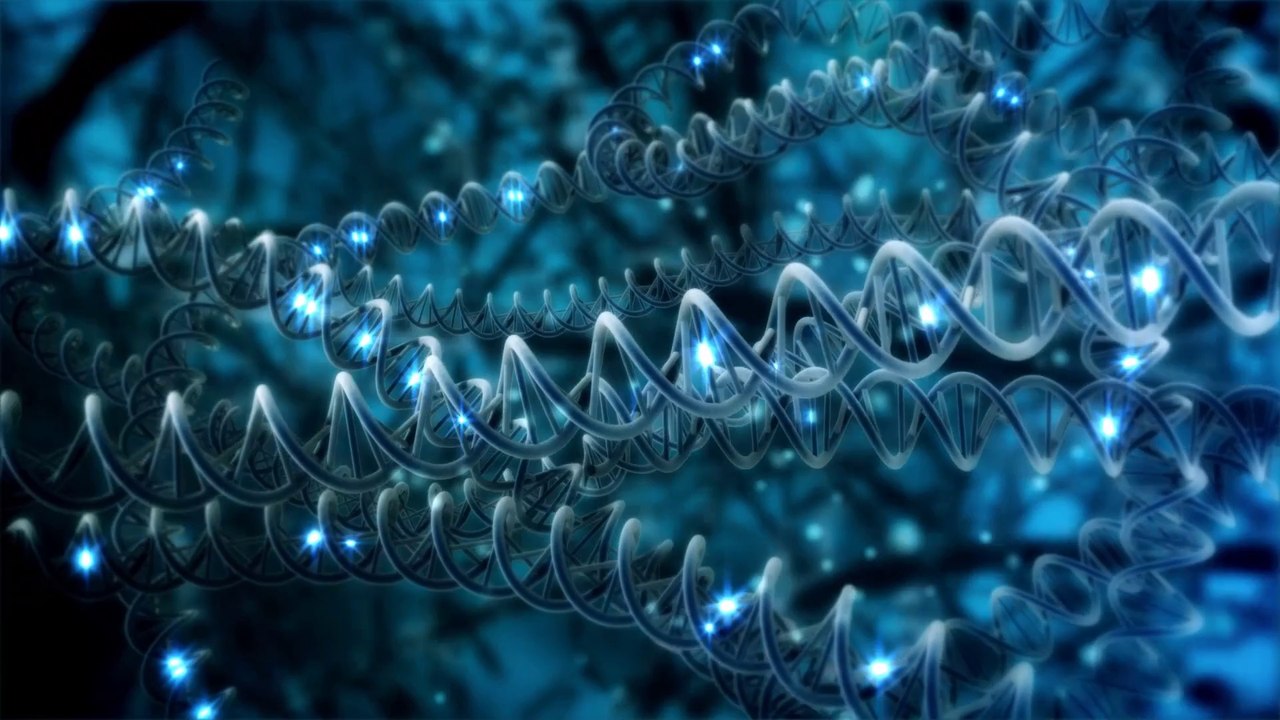 MACOPHARMA - REFLETS VIDEO // Photochemotherapy