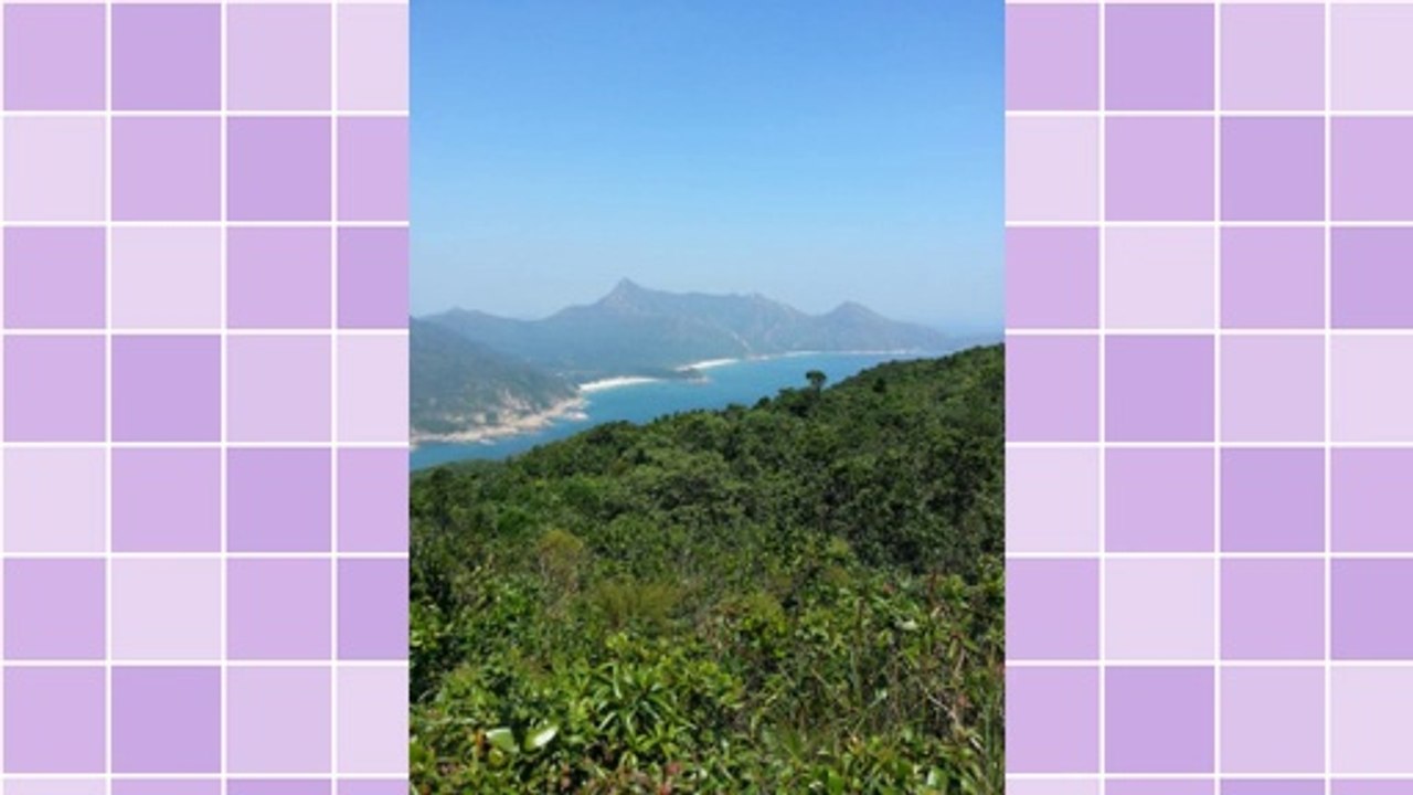 From Seller To Buyer: Shipping Details For Ebay Auctions