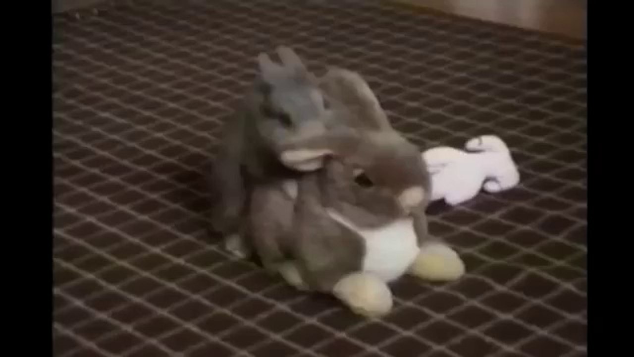 Bunny Humping Stuffed Bunny