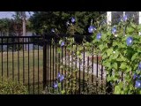 wrought iron fencing, iron fencing, Carmichael
