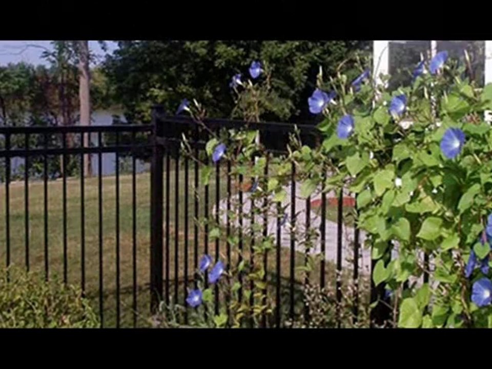 wrought iron fencing, iron fencing, Carmichael