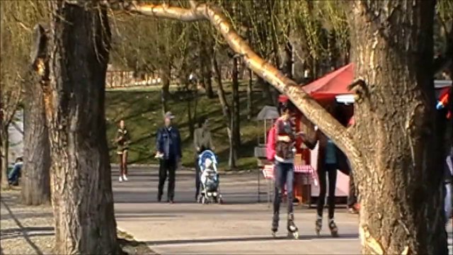 My Collie Spring time in Park Alexandru Ioan Cuza(Martie-2011)