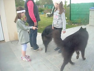 14 mai 2014 : tout premier contact de la gitane dans sa nouvelle famille