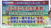 2014-05.14 青山繁晴 水曜アンカー 提供：別寅かまぼこ
