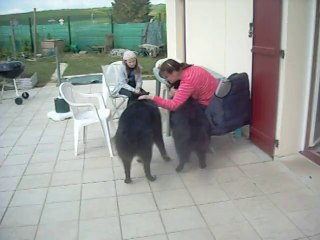 14 mai 2014 (4) : gitane suite 3