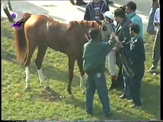 6 KASIM 1991 ÜMİTBEY