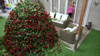 Analı Oğullu 3 Bölüm 1 Parça