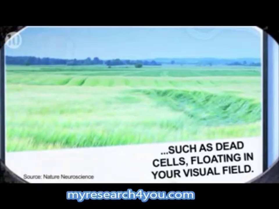 Top 10 Things You Didnt Know About Your Eyes!