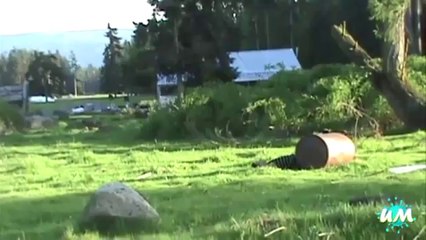 Hava atmak isterken rezil olanlar