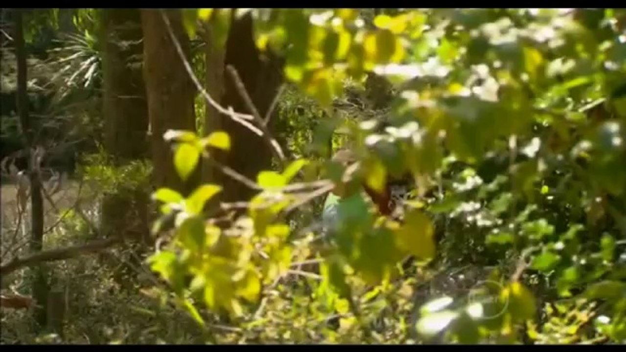 Neighbours 5904 Part 1