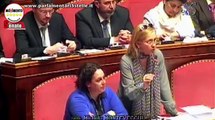 Decreto stupefacenti, l'intervento di Michela Montevecchi (M5S) - MoVimento 5 Stelle