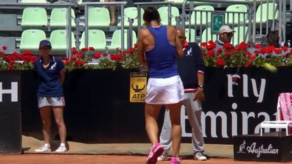 La Leonessa (senza coda) punta da un'ape