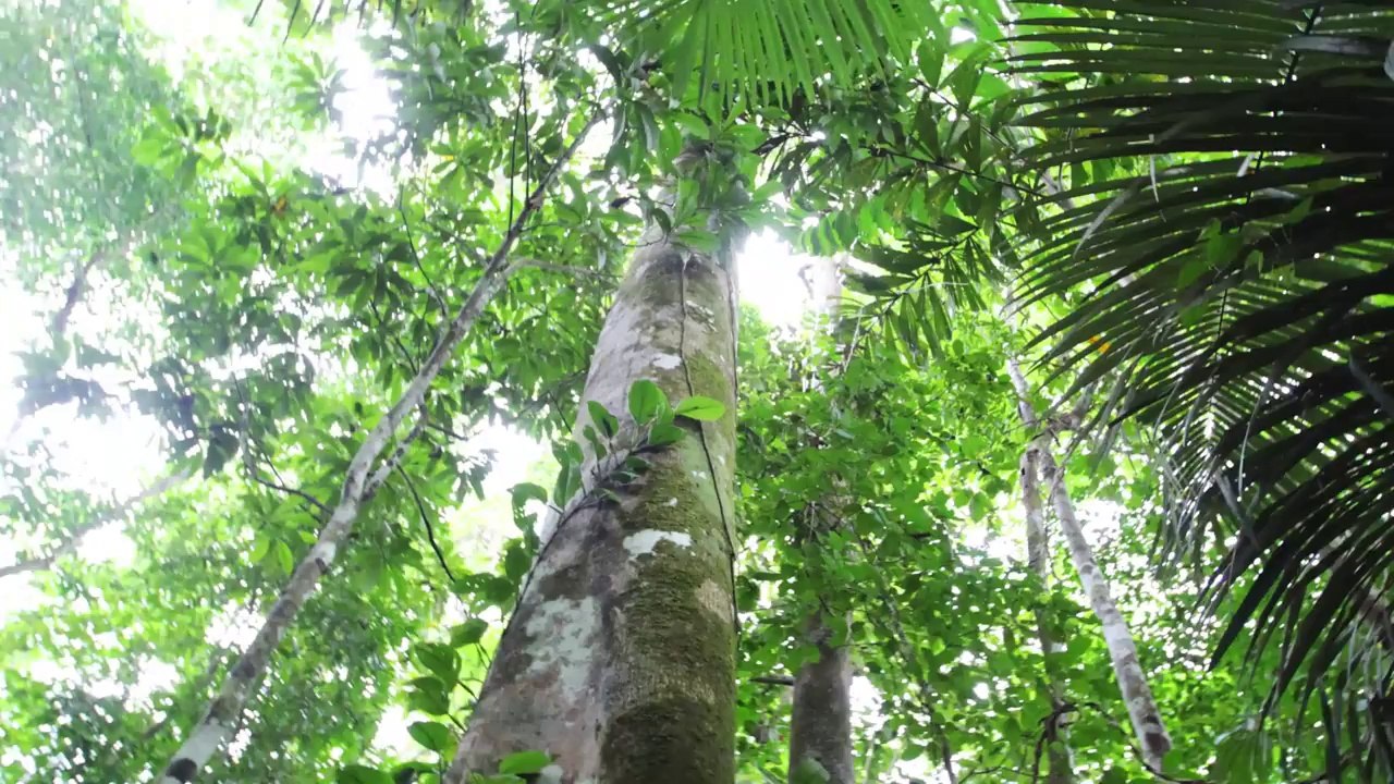 Voyage magique vers le Machu Picchu - Pérou en 4 min!