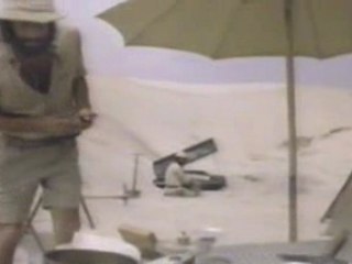 Fleetwood Mac - Hold Me