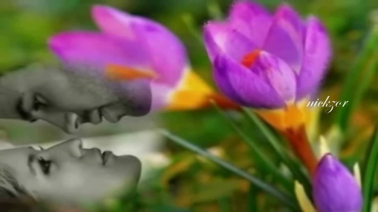 İlkay Akkaya - Bir Özlemin İzdüşümü