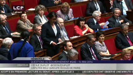 Download Video: Cécile Duflot chahutée à l'Assemblée pour son retour