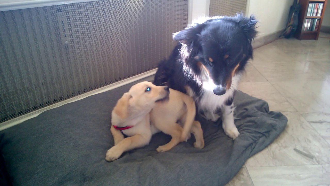 Daphné et son pote