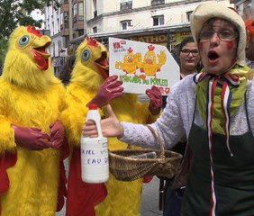 Traité transatlantique : la brigade des poulets du Front de gauche