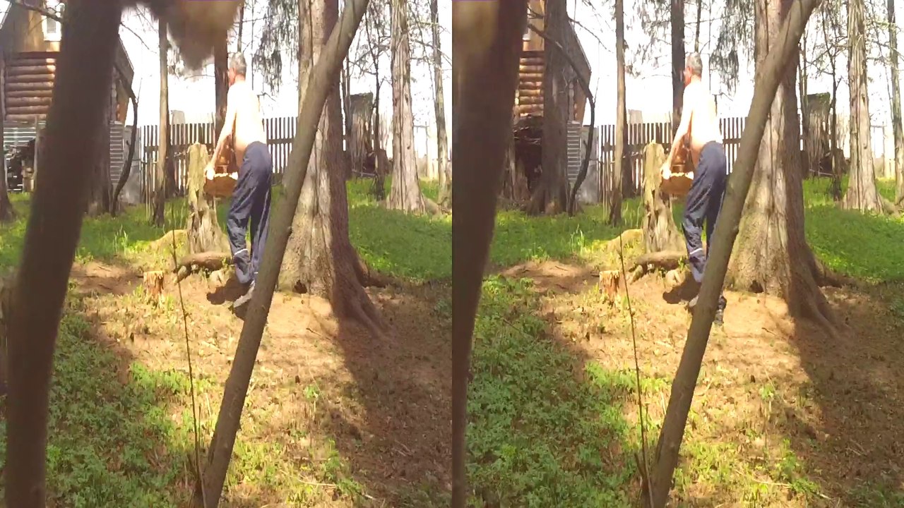 3D Full HD Борис лесовоз