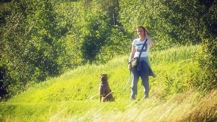 Top Ten Ways To Get Tons Of Traffic