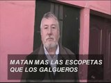 la verdad de los galgos(España)