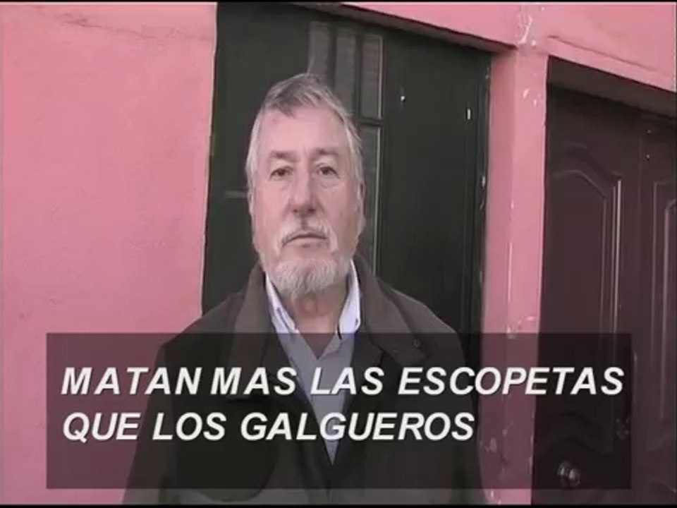 la verdad de los galgos(España)