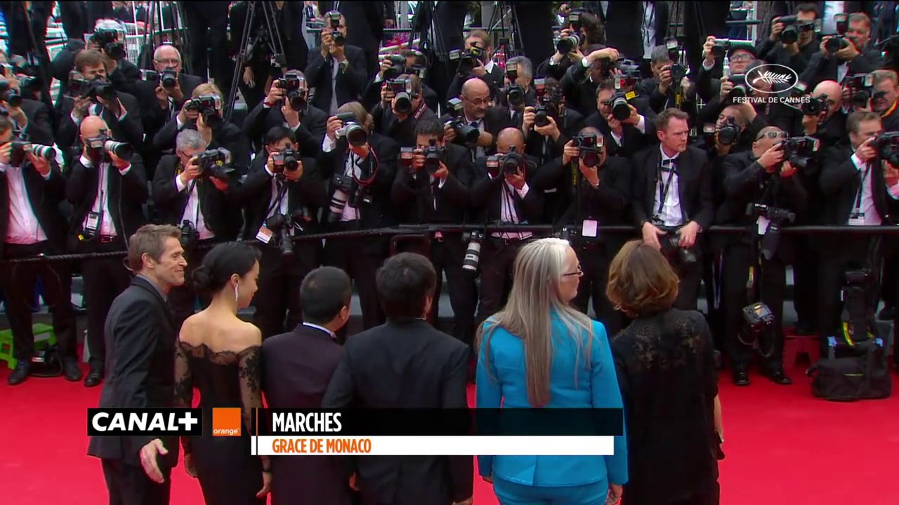 The Red Carpet of the Jury Members