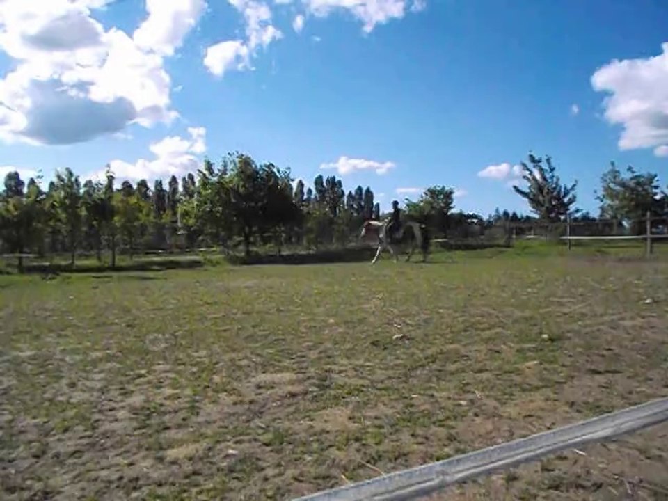 DSCF0675[1]