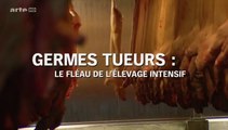 Germes Tueurs, Le Fléau de L' Élevage Intensif