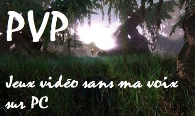 Panzar | Un autre PVP